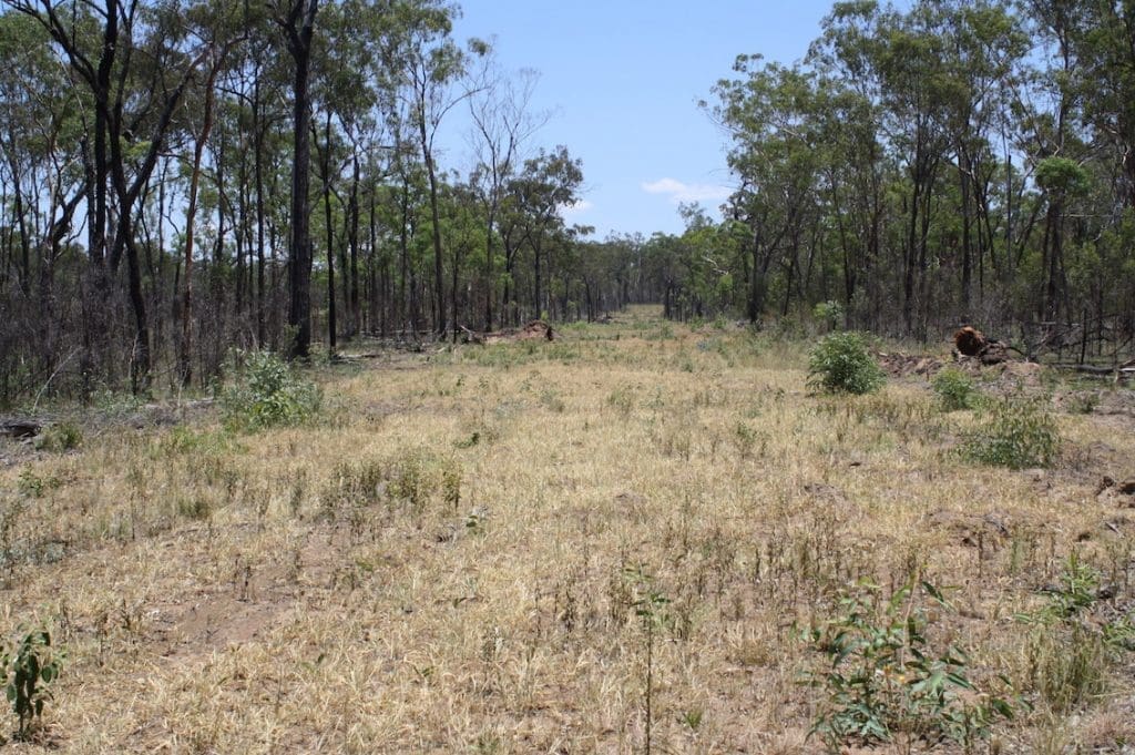 Fire breaks on Chess Park, Eidsvold.