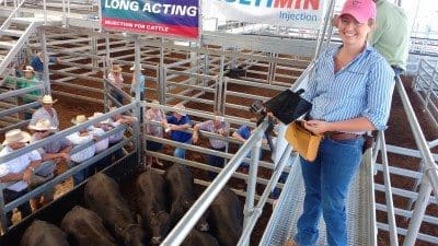 Livestock Exchange live streaming