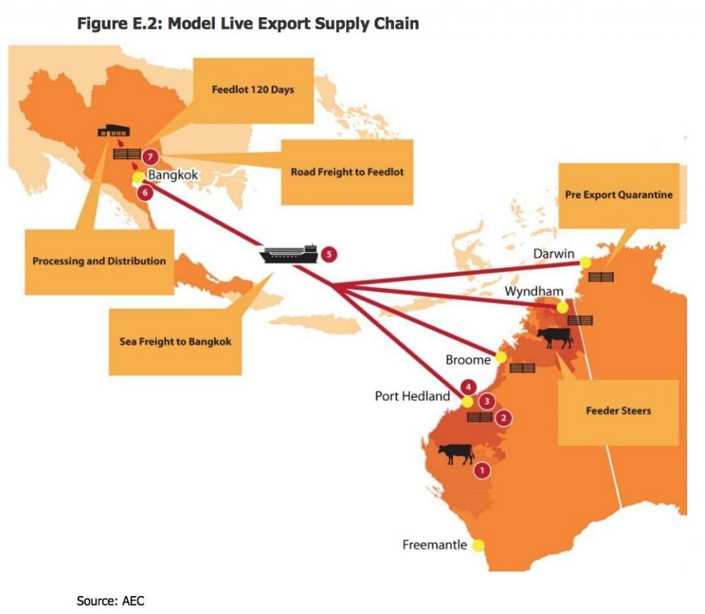 WA Thai model live ex supply chain