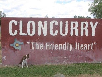 stolen dog cloncurry 2