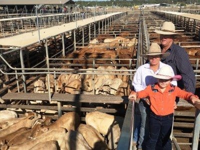 Riley, Jacky, and Bobbie O’Dell, Toarbee, Jericho, sold Charolais-cross steers to 334c/kg for 451kg to return $1507/head at Tuesday’s Roma Store Sale. Picture: Martin Bunyard