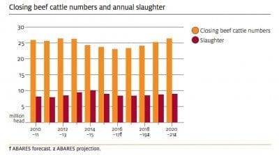 ABARES march 16 cattle numbers