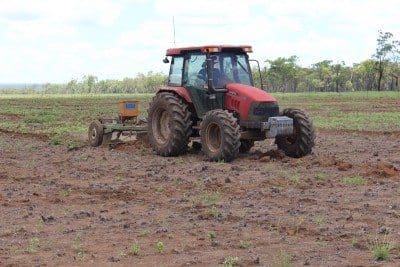 Redlands being planted by Greg Brown.