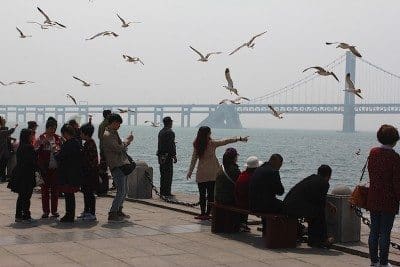 The picturesque peninsula city of Dalian is a popular destination for Chinese tourists.