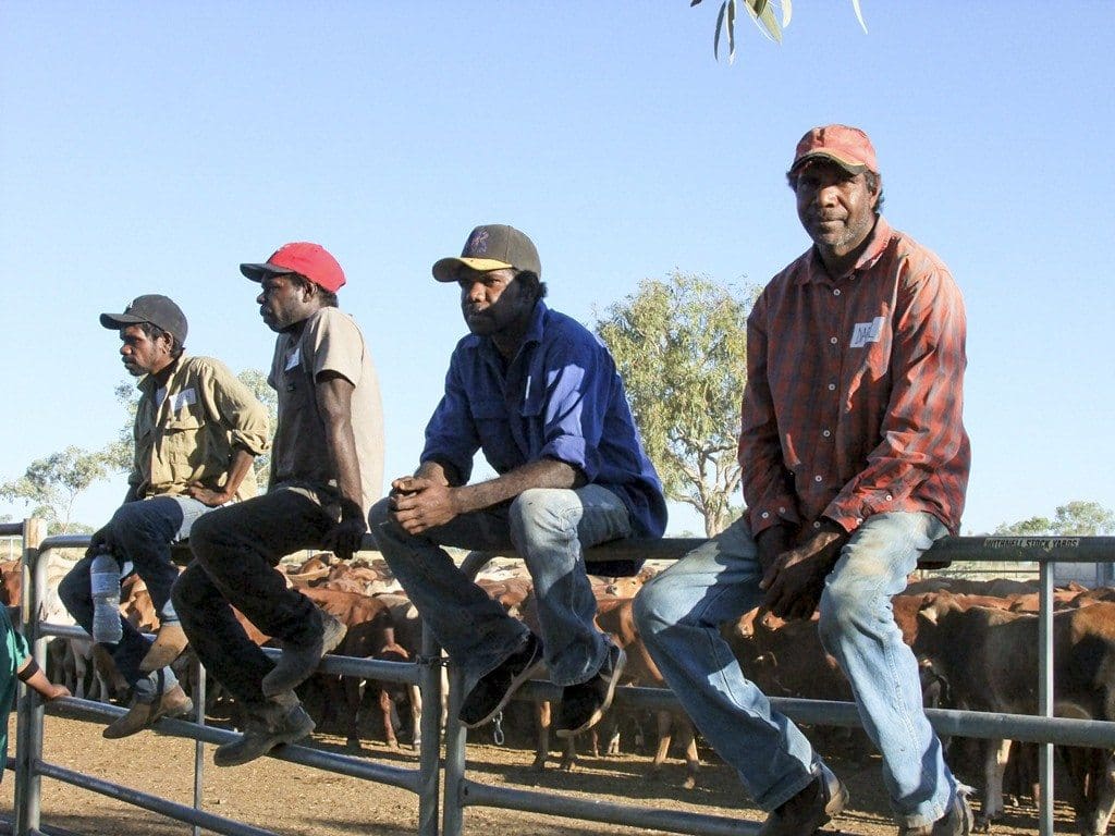 Stockman listen to the benefits of Low Stress Stock Handling at a recent workshop in the Kimberley for Indigenous stations, supported by DAFWA’s Indigenous Landholder Service.