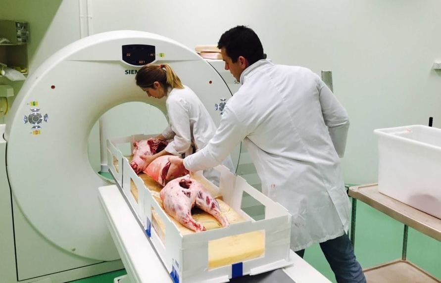 A CT scanner is used to calibrate the DEXA machine and other measurement technologies