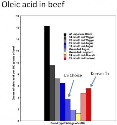oleic acid in beef