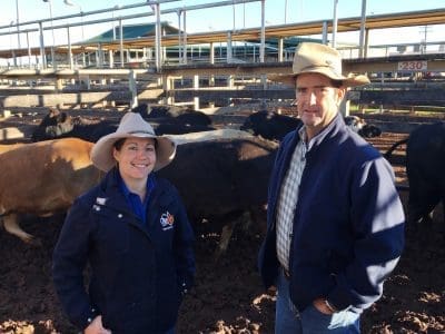 Sarah Packer, TopX Livestock Agent, Roma, with Brent Gadsby, Moorooka, Morven. Mr Gadsby sold Angus-cross heifers to 336c/kg for 360kg to return $1210/head at Roma’s Store Sale on Tuesday. Picture: Martin Bunyard.
