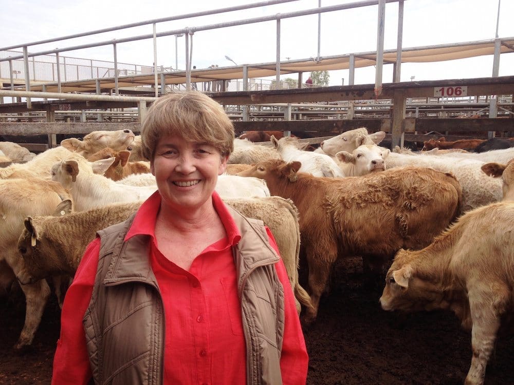 Robyn White, Balboa, Roma, sold Charolais-cross steers to 384c/kg for 275kg to return $1058/head at Tuesday’s Roma Store Sale. Picture: Martin Bunyard