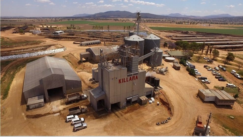 Elders Killara feedlot 3