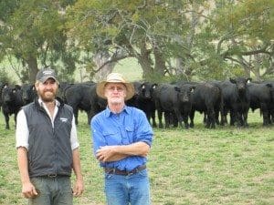 Colac vet Tom Graham with his father Bill among their Bongogo Angus breeders