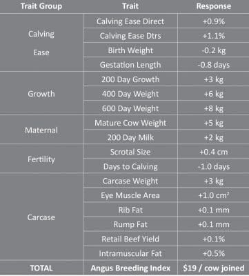 Angus Australia Bulletin p26-7 - Understanding Angus Breeding Index - Table Image