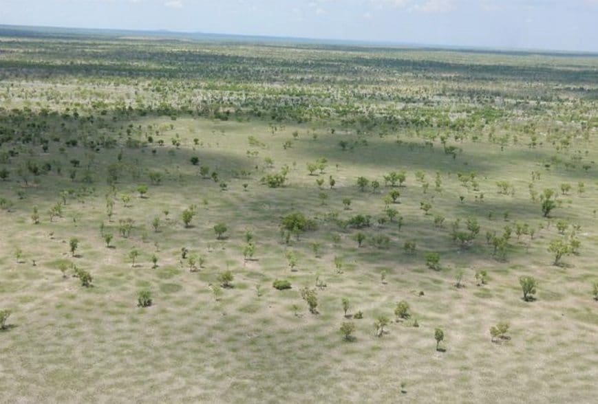 Open country on Aroona, southwest of Katherine, which is being offered with 14,000 cattle 