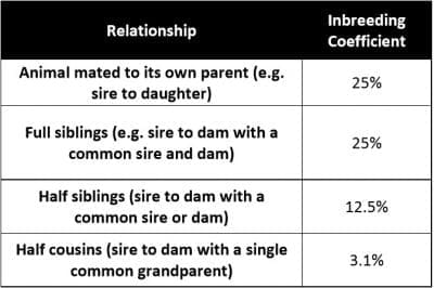 Inbreed 1