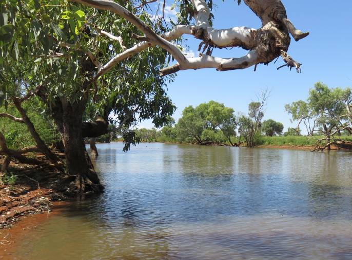 Watercourse along Manners Creek, after recent rain