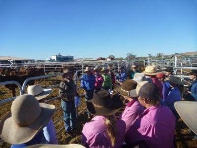 Pilbara Cup 4