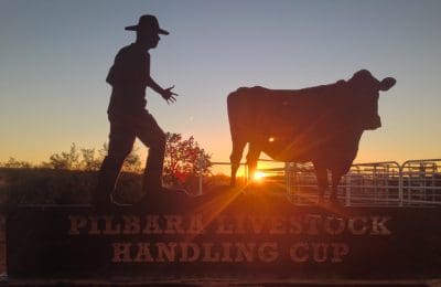 The Pilbara Livestock Handling Cup.