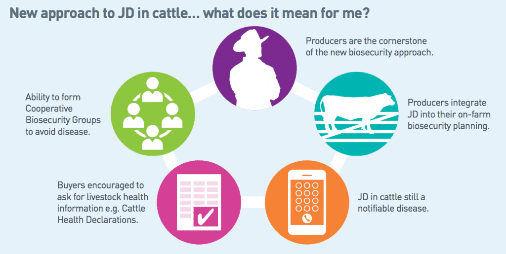 A diagram from Animal Health Australia outlining the new deregulated approach to Johne's management in Australia. 