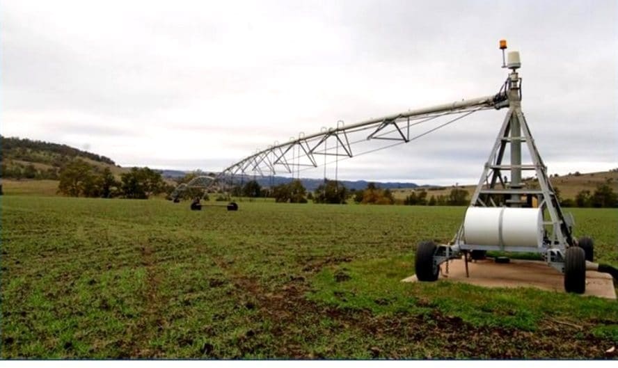 The addition of irrigation has helped prospects for both properties in the Shannandore/White Rock aggregation near Scone, NSW