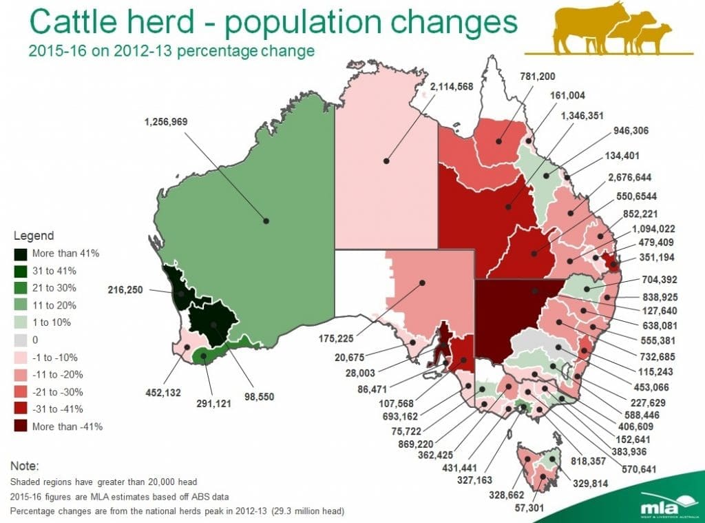 nat-cattle-3