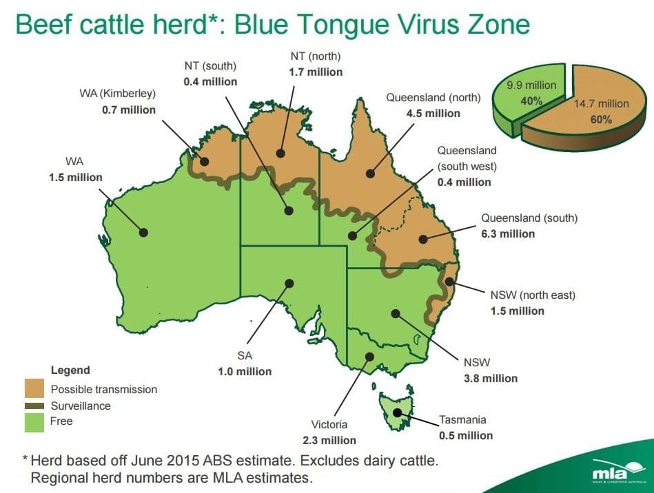 bluetongue-1