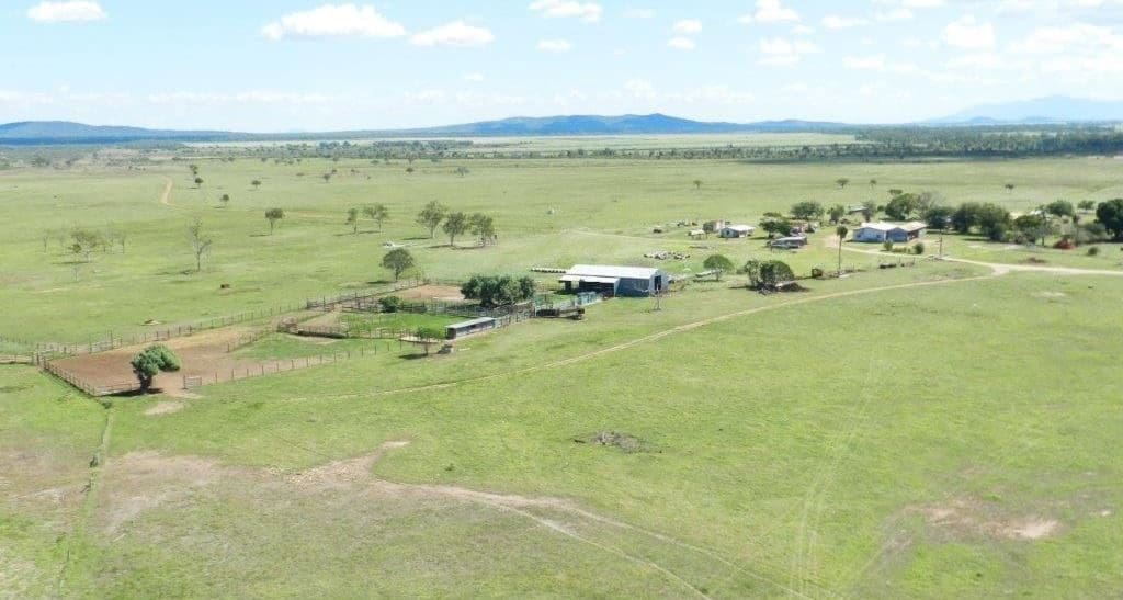 Inkerman Station, 16,700ha of breeding and growing country near Home Hill, south of Townsville, made $11.125m on Wednesday 