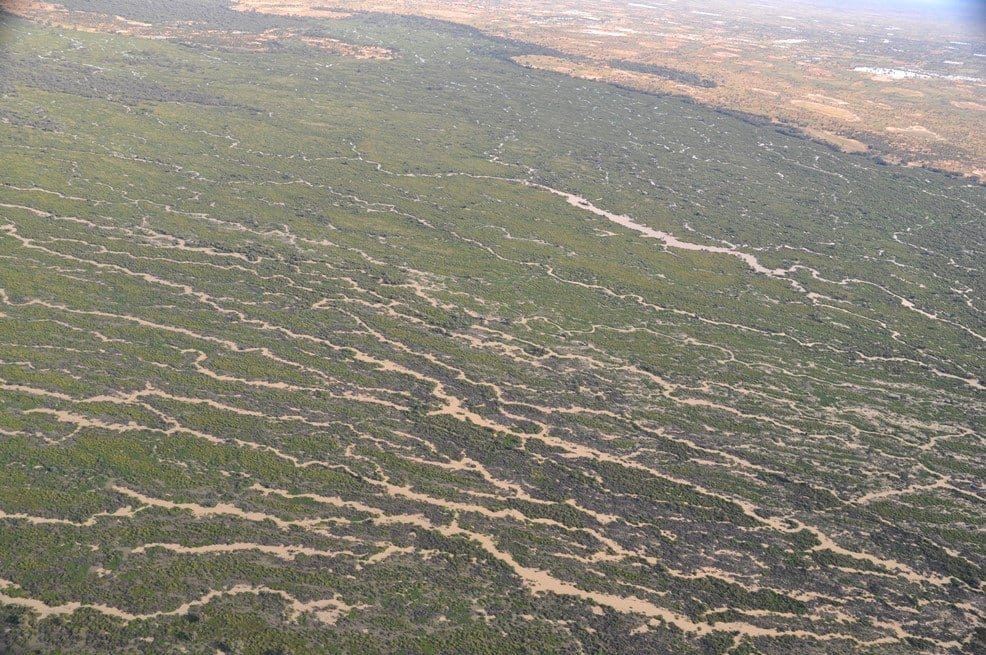 Nappa Merrie includes more than 200,000ha of flood-out country like this, pictured after recent rain