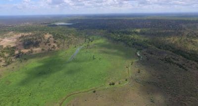 Gainsford station north of Charters Towers sold prior to auction for what is believed to be a district beast area record price