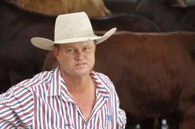 Oakey livestock manager Kurt Wockner