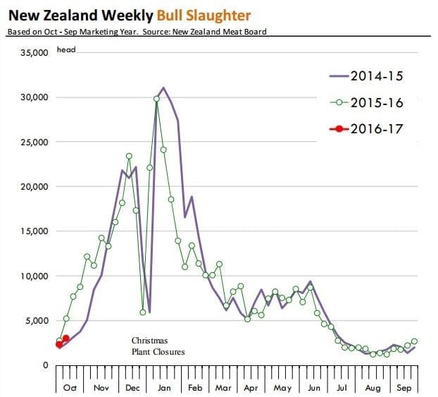 nz-bull