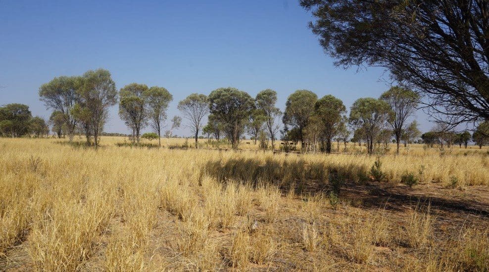sales report grid a for operator Land with Trust Aboriginal seeks difference sales report grid a for operator Land with Trust Aboriginal seeks difference