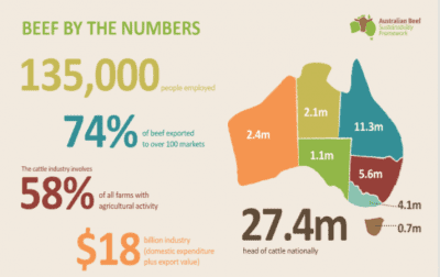 beef-sustainability-beef-by-the-numbers