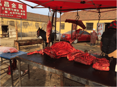 Lots of competition from non-cattle “beef” too - Donkey beef stall in northern China.