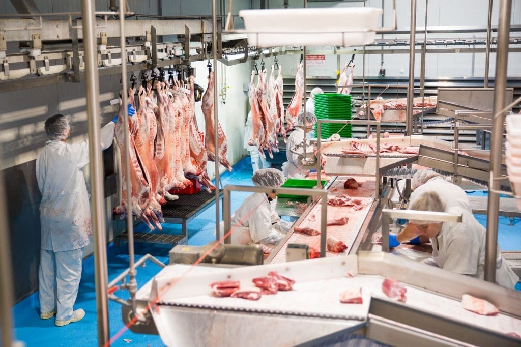 Fabrication area at the GMP lamb plant at Gundagai