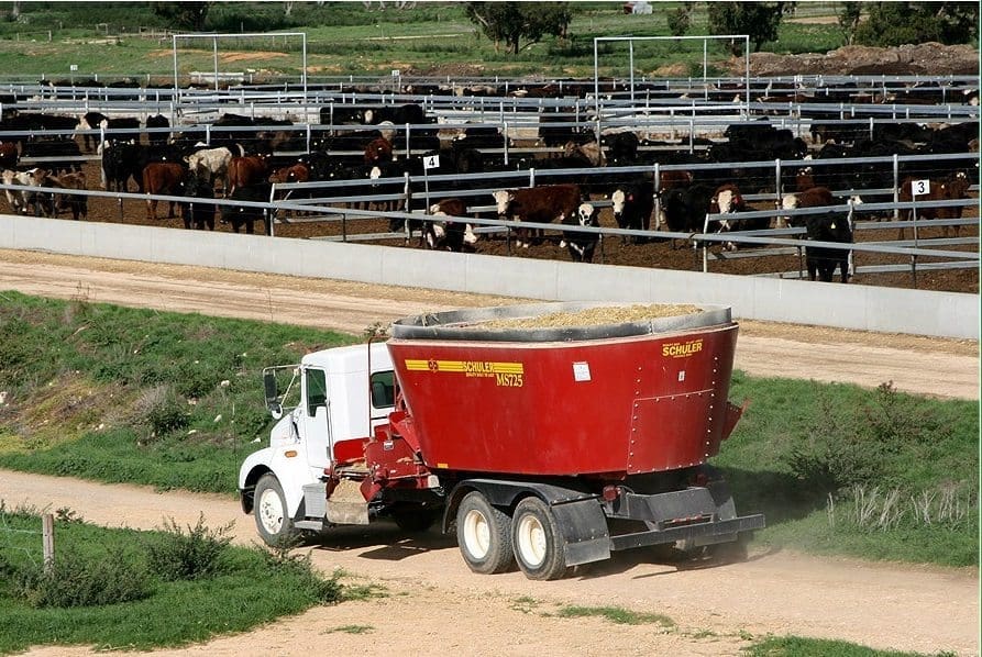 national feedlot corporation case study