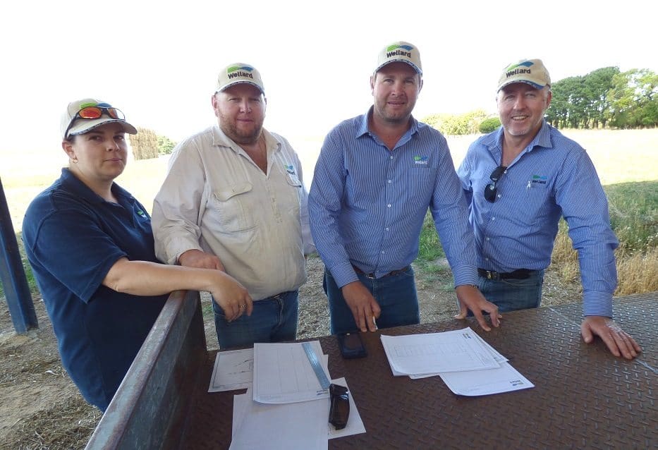 Pictured looking over plans at Wellards' new Condah property, from left, livestock officer Emma Giblett, property manager Clint Giblett, export operations manager Ben Giblett and South East Asia GM Bernie Brosnan. 