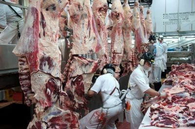 Meat processing operations at the JBS Longford plant