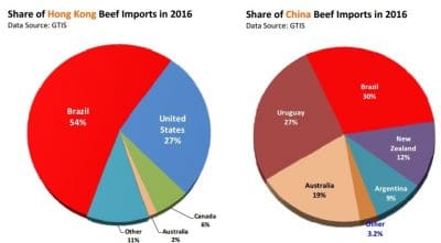 Brazil share of China