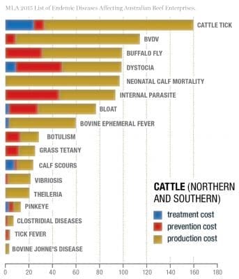 Cattle northern and southern