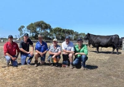 The top priced female at the Coolana dispersal Coolana Tearful G216 with vendors Ben, Mark and Max Gubbins, purchaser Damien Gommers, agent Rodney Dix and Coolana stud manager Martin Beltrame.