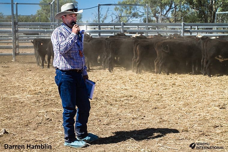 Darren Hamblin speaks to visits during a World Wagyu Congress visit to May Downs Station, Middlemount, in 2015. Photo: Steve Bennett, Wagyu International