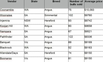 Feb stud sales