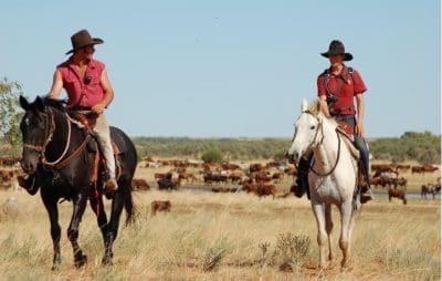 The Rangelands brand will leverage of the Kimberley/Pilbara's wide open spaces and clean environment