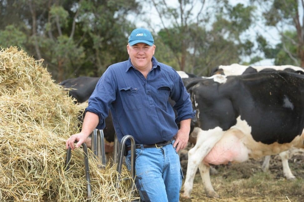 Colac dairy farmer Lachlan Sutherland has bred Wagyu F1 calves from the bottom half of his 400-cow herd for ten years. He will speak on the topic at the upcoming 2017 Wagyu conference. 