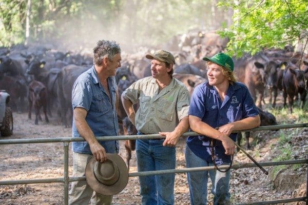 Robert MacKenzie and sons with Angus cattle on one of the Macka's properties near Port Stephens 