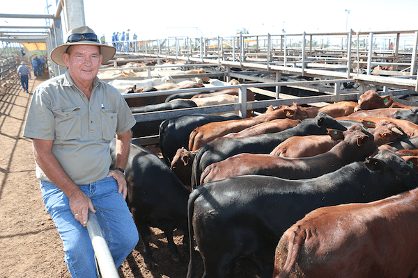 Brian Murray, Yarrum, Roma, saw his Santa-cross steers sell to a top of 330c/kg for an average 478kg to return $1580/head. 
