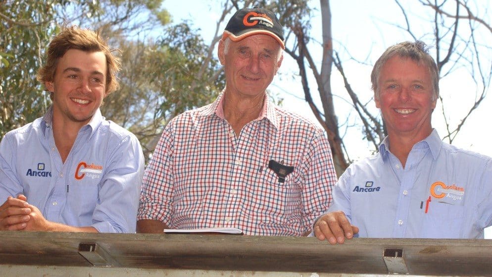 Mark, Max and John Gubbins at Coolana