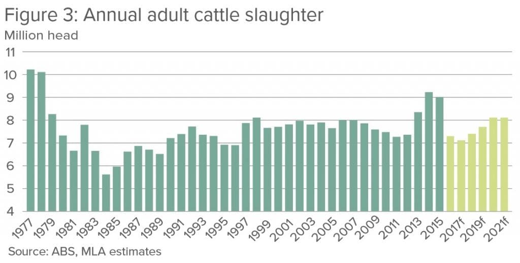 Cattle slaughter 2017 Apr