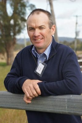 Ebor beef producer Stuart Austin, Willmot Cattle Co 