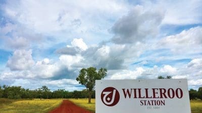 Willeroo station